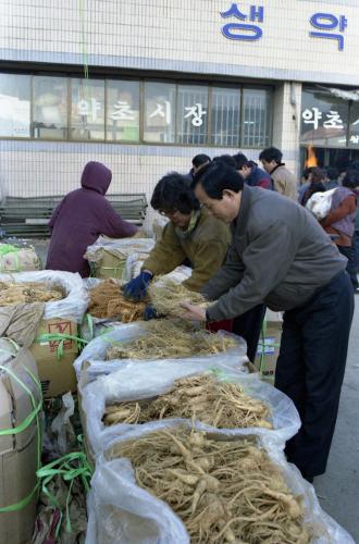 금산 인삼시장 스케치 이미지