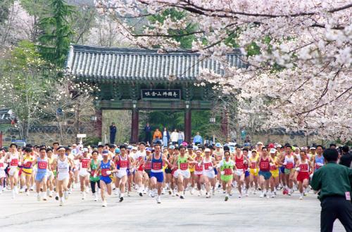 한국방문의 해 기념 한ㆍ일 친선 아마추어 마라톤대회 이미지