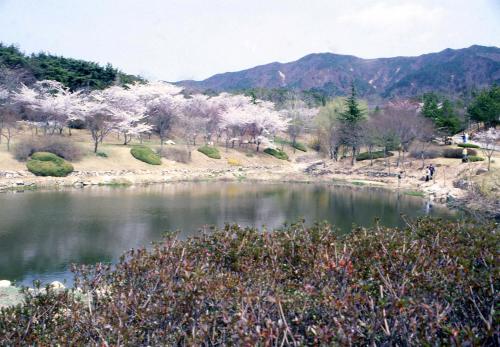 봄 스케치 이미지