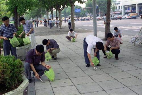 공보처 직원 국토대청결운동 이미지