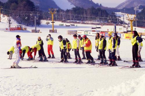 제76회 전국체육대회 동계대회(스키) 이미지