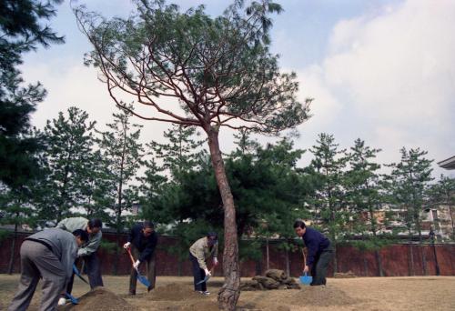 이홍구 국무총리 공관에서 기념식수 이미지