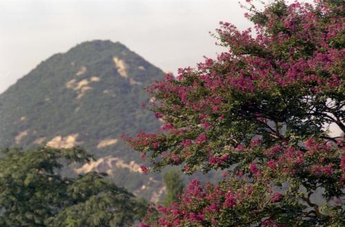북악산 스케치 이미지