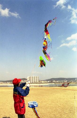 세계 연날리기대회(수원 서호) 이미지