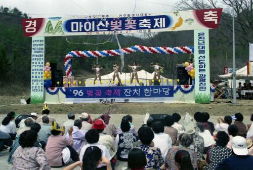 진안 마이산 벚꽃 축제 이미지