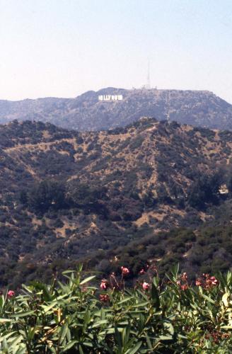로스앤젤레스(L.A) 헐리웃 스타의 거리 스케치 이미지