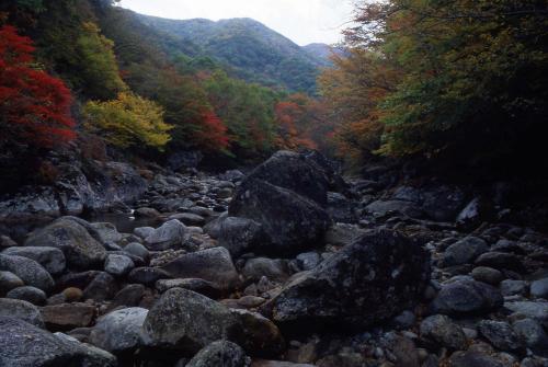 지리산 단풍 이미지
