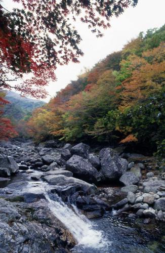 지리산 단풍 이미지