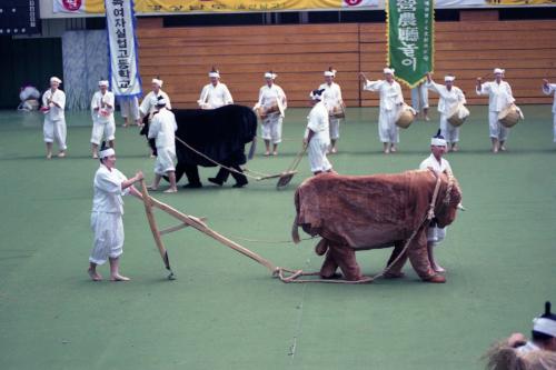 1996년 전국청소년민속예술경연대회 부산 수영 농청놀이 이미지
